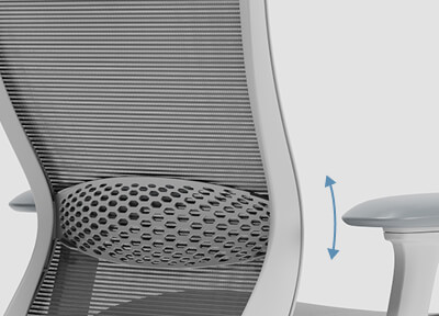 Adjustable Lumbar Support